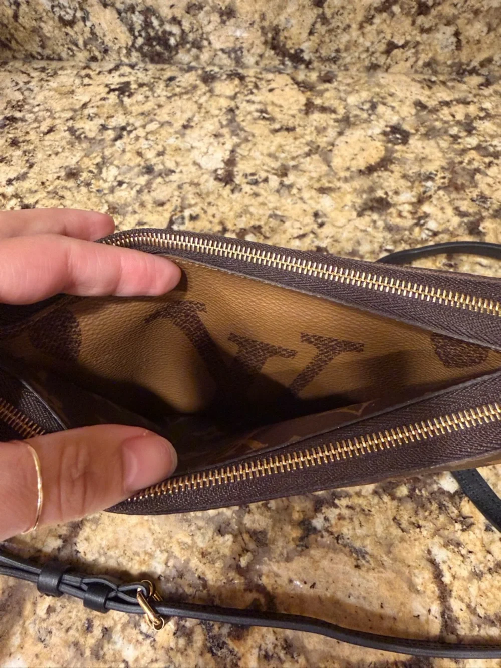 LOUIS VUITTON DOUBLE ZIP POCHETTE GIANT REVERSE MONOGRAM - Picture 4 of 14